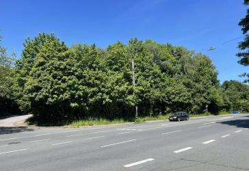 Grünfläche an der Hauptverkehrsachse in Wuppertal (teilbar)