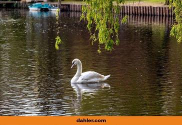 Eigentumswohnung in Wasserlage! Mit wunderschönem Blick und Zugang zum Rondeelteich