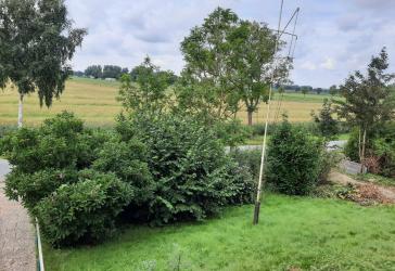Krautsand Mieten wo andere Urlaub machen