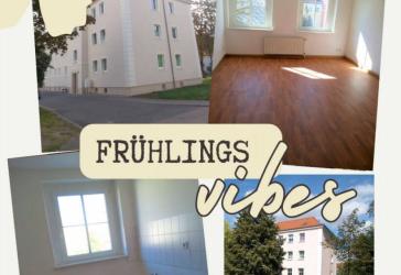 Wohnen im Geiseltal - 3-Raum-Wohnung