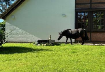Vorschaubild Villa