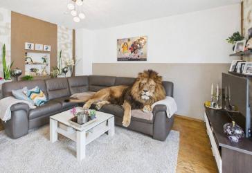 Vorschaubild Maisonettewohnung