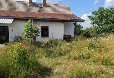 Vorschaubild Bauernhaus
