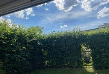 Oberursel-Nord! Nachmieter für eine 5-Zi.-Gartenwhg. gesucht!