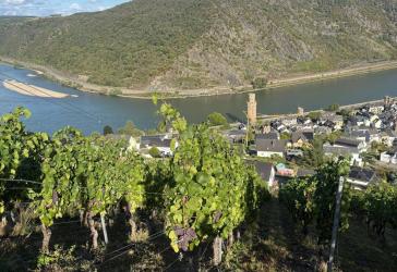 Wunderschönes Haus mit dem Rheinblick