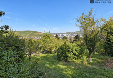 Vorschaubild Freizeitgrundstück