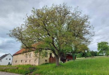 Vorschaubild Bauernhaus