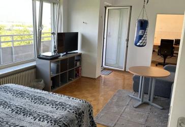1-Zimmerwohnung mit Balkon, TG und Keller