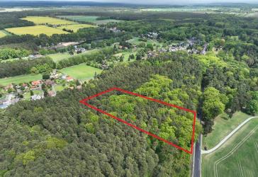 Stattlicher Laubmischwald - am Kromlauer Park - ca. 1,2 ha
