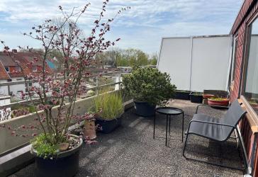 Vorschaubild Penthouse