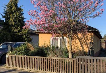 Einfamilienhaus + Gartenbungalow in bester Lage
