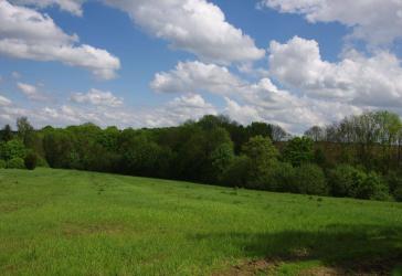 Feld, Acker, Weide am Stadtrand