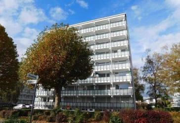 Komplett renovierte 2 Zimmerwohnung sucht nette Mieter