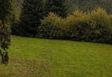 Vorschaubild Grundstück