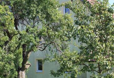 Großes EFH (ggf. mit ELW) in einem Ortsteil von Dippoldiswalde!!