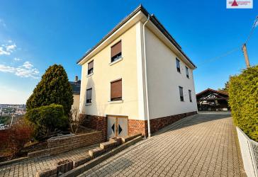 Großes Einfamilienhaus oder Mehrfamilienhaus mit Pool, Garten, 1.000 m² Grundstück & 3 WE in Werdau