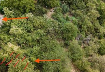 Koblenz - Lahnstein: Verkehrsbegünstigtes Wäldchen direkt angrenzend an die Bebauung provisionsfrei kaufen