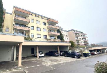 Blick ins Grüne - 3-Zimmer-Wohnung in Wangen