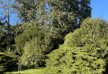 Vorschaubild Grundstück