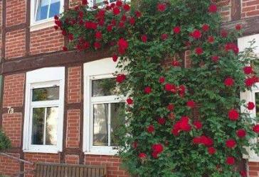 Sehr gepflegter Vierseitenhof. Saniert. Umfangreiche Nebengebäude. Großer Pool.