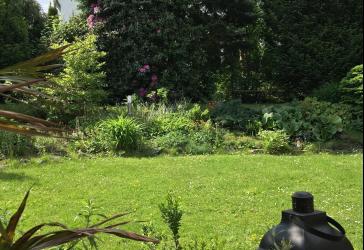 ACHTUNG! SCHÖNES STADTGRUNDSTÜCK IN RUHIGER LAGE FÜR IHR NEUES TRAUMHAUS! TEL: 01714863595