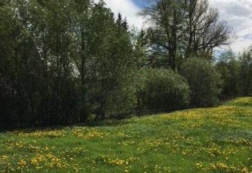 LASSEN SIE AUS IHREN TRÄUMEN VOM LEBEN IM GRÜNEN IHR EIGENES ZUHAUSE WERDEN! TEL.: 01714863595