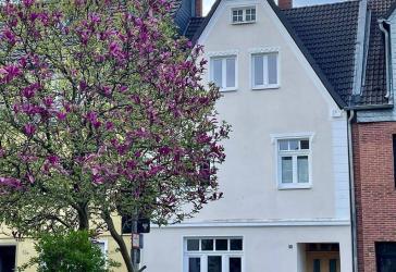 Vorschaubild Reihenmittelhaus
