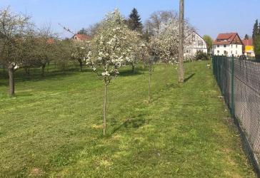 Vorschaubild Grundstück