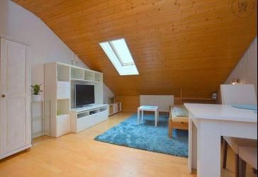 Möbliertes 1-Zimmer Dachgeschossapartment in Gärtringen Rohrau