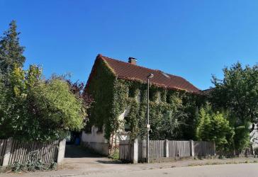 Einfamilienhaus mit Garten
