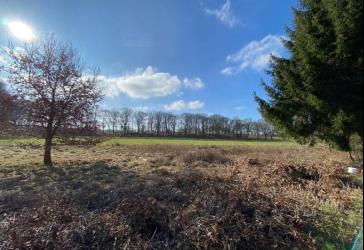 Großzügiges Mehrfamilienhaus + Blockhütte auf großem Grundstück !