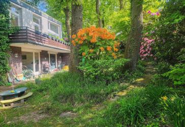 Großzügiges Einfamilienhaus in bester Lage mit tollem Garten