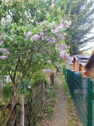 Property thumbnail 19