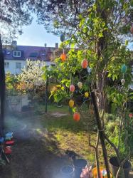 Property thumbnail 20