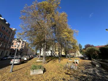 Property thumbnail 12