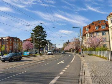 ERSTBEZUG IM SCHÖNEN STRIESEN – Dresden – Vorschaubild 5