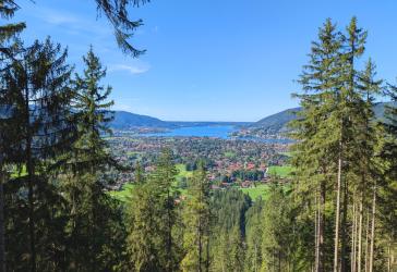 Vorschaubild Land- und Forstwirtschaftsgrundstück