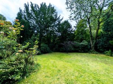 Property thumbnail 12