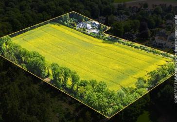 Paradies für Reiter und Pferdeenthusiasten: Reedervilla mit Feld, Koppel und privatem Waldzugang