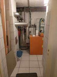 1-2 Familien-/Mehrgenerationen-Haus mit schöner Gartenanlage + 2 Grundstücke mit Bebauungspotenzial für weitere Häuser – Potsdam-Eiche – Vorschaubild 65