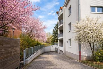 Property thumbnail 13