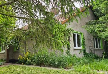 Sanierungsbedürftig, aber einzigartig – 1.452 m² Freiheit in Rostock - Hinrichsdorf