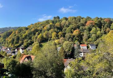Vorschaubild Grundstück
