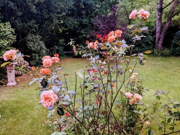 Property thumbnail 14