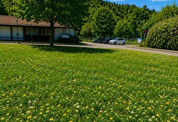 Vorschaubild Grundstück