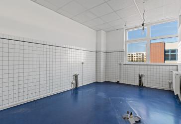 Vorschaubild Büro- /Praxis-Immobilie