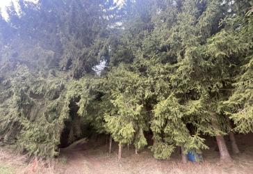 Vorschaubild Grundstück