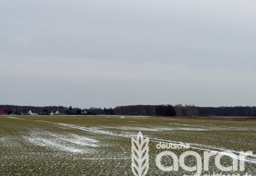 Vorschaubild Grundstück