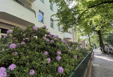 Provisionsfreie kernsanierte 5,5 Zimmer Wohnung in Schmagendorf