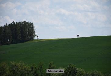 Vorschaubild Grundstück
